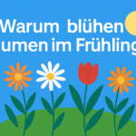 Wie funktioniert Photosynthese?
