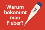 Warum schläft der Arm ein?