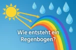 Warum gibt es Jahreszeiten?