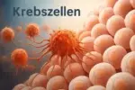 Warum sind wir allergisch?