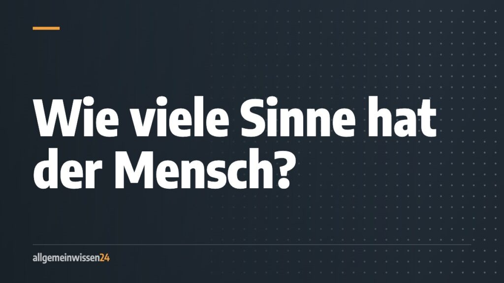 Titelbild von allgemeinwissen24: Wie viele Sinne hat der Mensch? Typografisches Motiv in der Farbe der Rubrik Körper.
