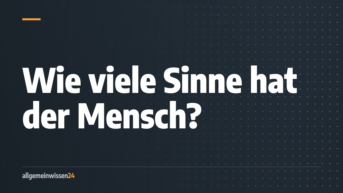 Titelbild von allgemeinwissen24: Wie viele Sinne hat der Mensch? Typografisches Motiv in der Farbe der Rubrik Körper.